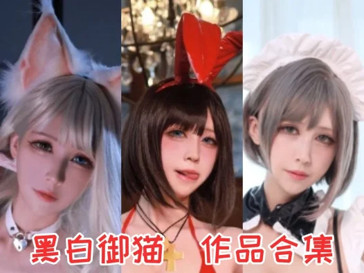 黑白御猫最全图片包合集【7套 持续更新】